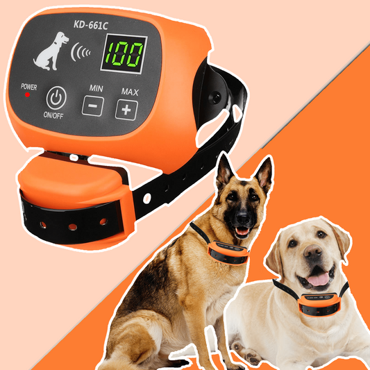 Wireless Dog Fence #1 Best Electric, Compact & Waterproof Dog Fence