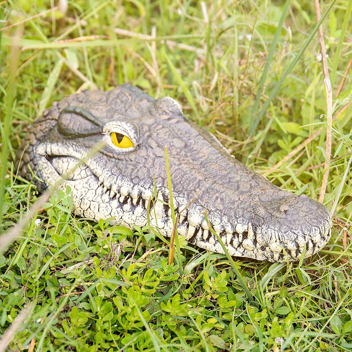 Remote Control Alligator Head - #2026 RC Alligator